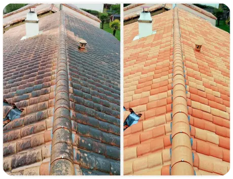 Nettoyage de toiture Angoulême