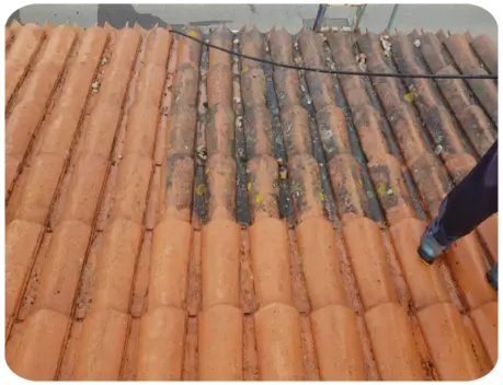 Devis Nettoyage Démoussage Toiture Angoulême