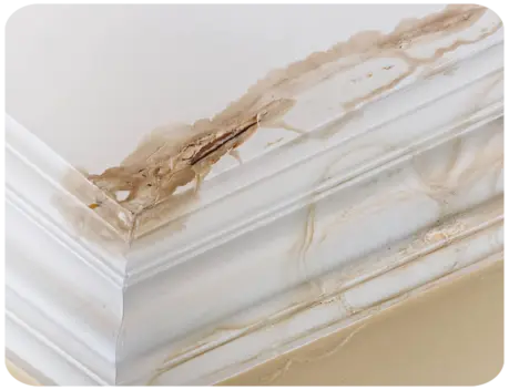 Entreprise de réparation de fuite sur toiture Angoulême Charente